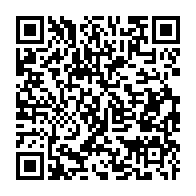 camping bus QR Code